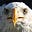 CynicalOptimist's avatar