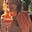 Willow Baum's avatar