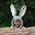 Kexin's avatar
