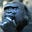 Marvin Fretwell's avatar
