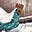 Lynda Wallis's avatar