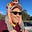 Mike Morris's avatar