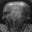 Per Moen's avatar