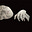 Kit's avatar