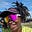 therichweirdo's avatar