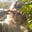 Andrea Mew's avatar
