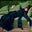 constanze price's avatar