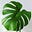 Ell Em Dee's avatar