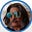 damnedcat777's avatar