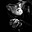 Terrence Goggin's avatar
