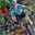 YORK Velosport's avatar
