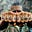 Matt Pike's avatar