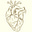 Coractium por Gustavo Machado's avatar