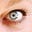LPLP's avatar
