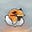 The Fox On A Cloud's avatar