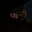 MEL's avatar