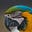 Mat Tickhill's avatar
