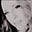 Janice Harris's avatar