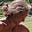 Ryan Dickinson's avatar