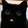 That Cat's avatar