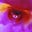 Iris Turner's avatar