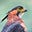 orkestral's avatar