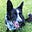 Peggy D. Smith's avatar