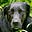 lpakaln's avatar