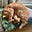 Wool Stonecrafty's avatar