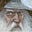 Bookwizard999's avatar