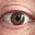 Paul Cunningham's avatar