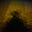 James Davy's avatar