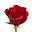 Rose Straub's avatar