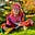 Jess Jones's avatar