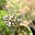 Rewilding Neurodiversity's avatar