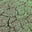 Woods Wiser's avatar