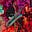 Sean McCarthy Music's avatar