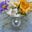 Brenda Miller's avatar