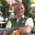Dennis McMahon's avatar