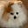 Stanislava's avatar