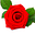 Roses's avatar