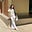 Avatar de arantxa mendoza