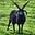 GUY JUSTSUM's avatar