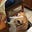 DeerDancer's avatar