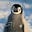 Avatar de Pinguim fisio 🐧🥼💖