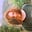 Maddy's avatar