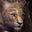 Greypaw's avatar