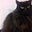 Sheelagh's avatar