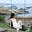 Zoe Morana's avatar