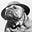 Mat_Map's avatar